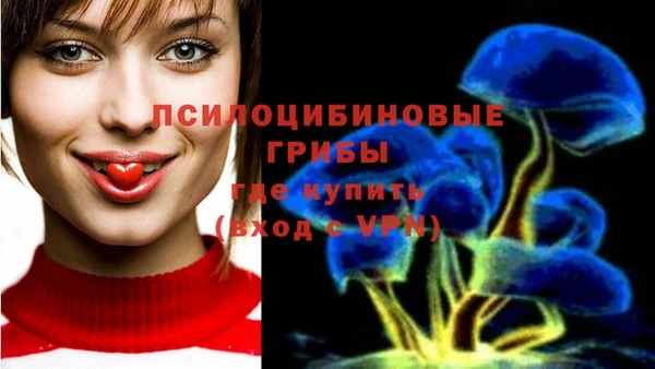 амф Алапаевск